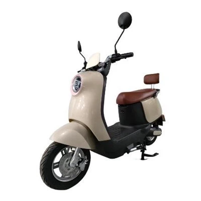 800W Electric Motorcycle