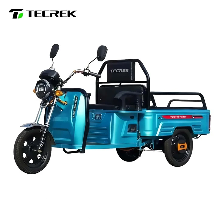 Cargo Electric Tricycle LETU Cargo Electric Tricycle LETU