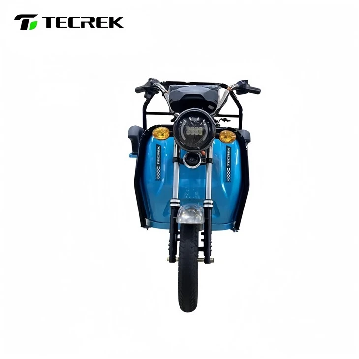 Cargo Electric Tricycle LETU best Cargo Electric Tricycle LETU best