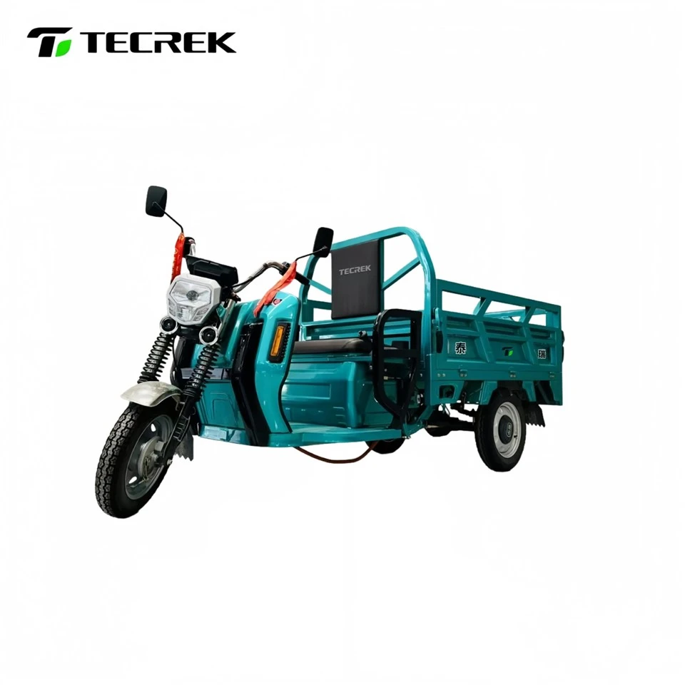 Cargo Hauling Electric Tricycle manufacturers Cargo Hauling Electric Tricycle manufacturers