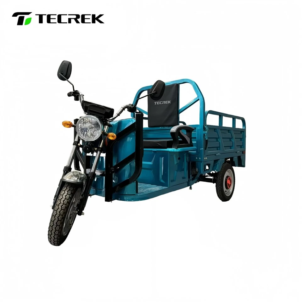 Electric Delivery Tricycle