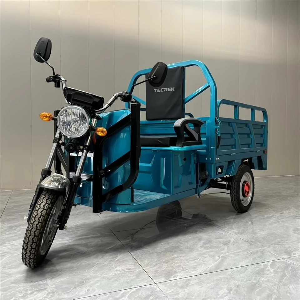 Electric Delivery Tricycle price