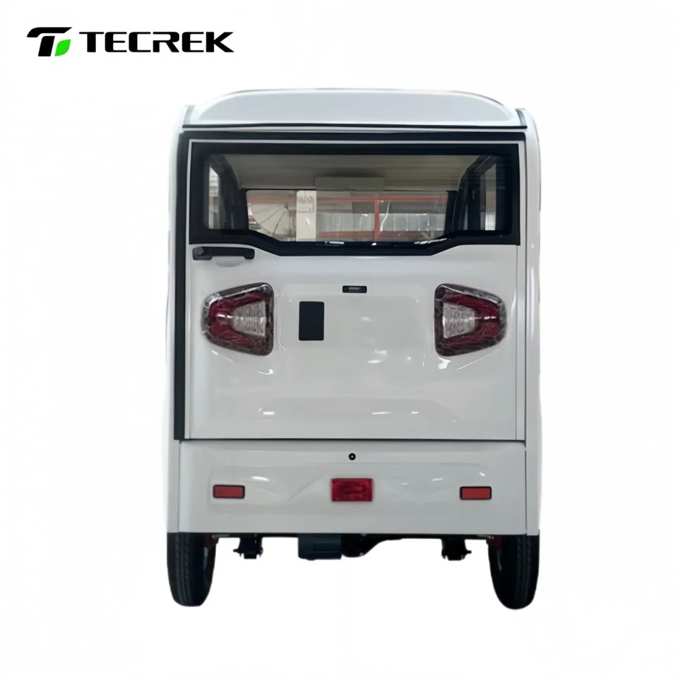 Electric Family Tricycle high quality