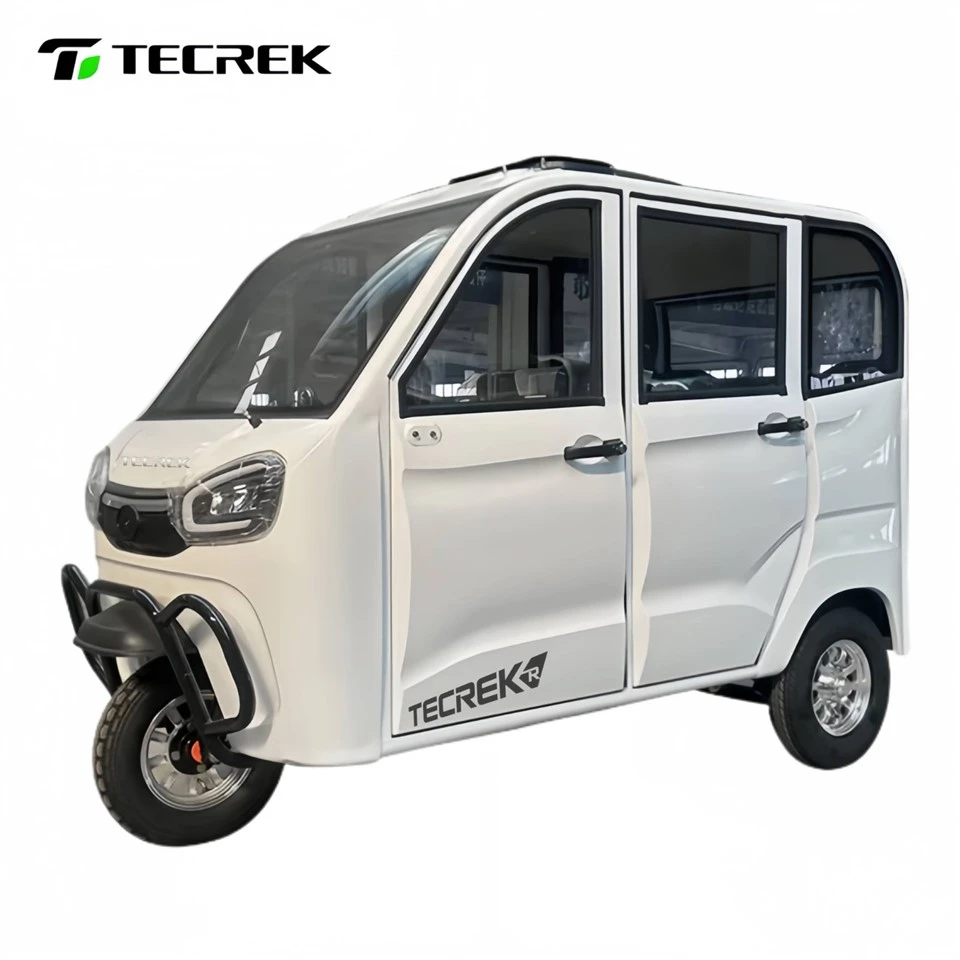 Electric Family Tricycle price