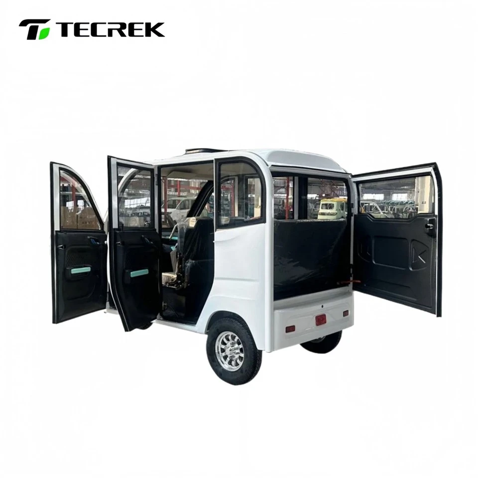 Electric Family Tricycle best