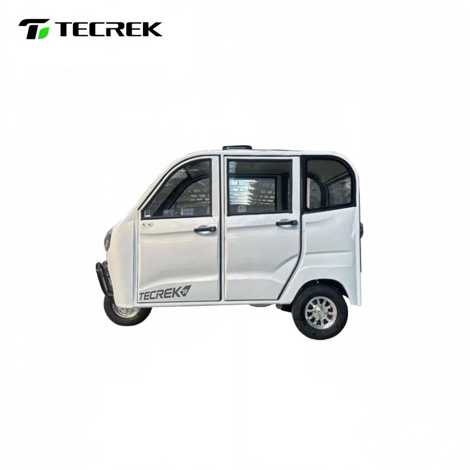 Electric Family Tricycle