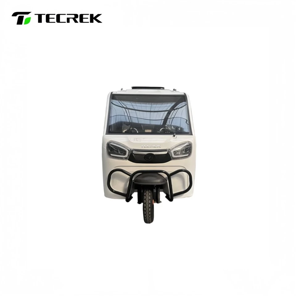 Electric Family Tricycle factory