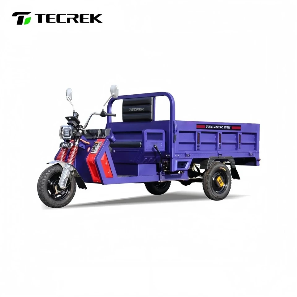 Electric Tricycle For Bulk Cargo Transport best Electric Tricycle For Bulk Cargo Transport best