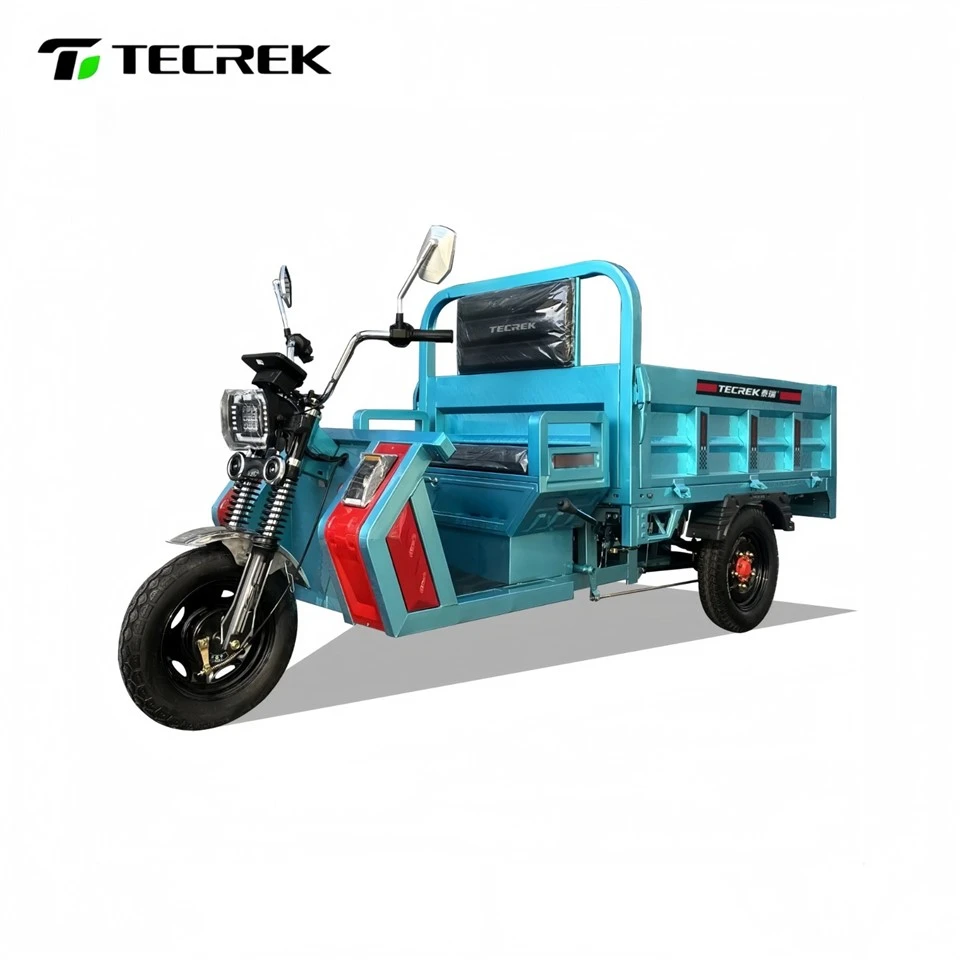 Electric Tricycle For Bulk Cargo Transport price Electric Tricycle For Bulk Cargo Transport price