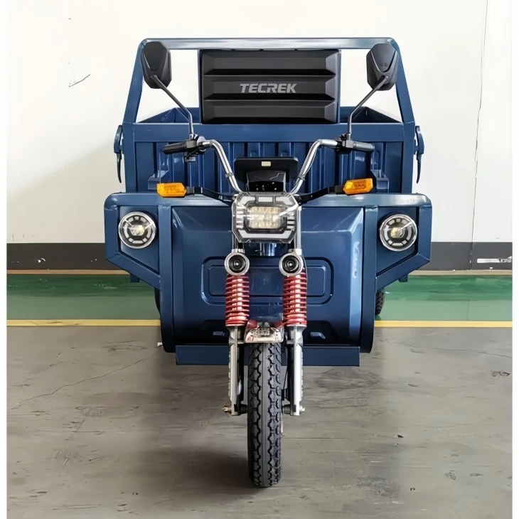 Electric Tricycle For Business Transport factory Electric Tricycle For Business Transport factory