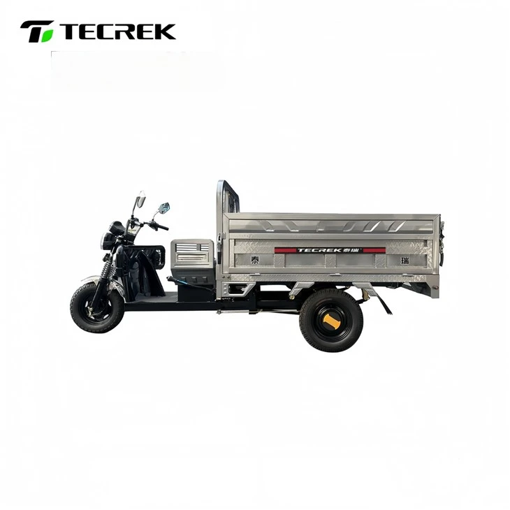 Electric Tricycle For Heavy Duty Transport factory Electric Tricycle For Heavy Duty Transport factory