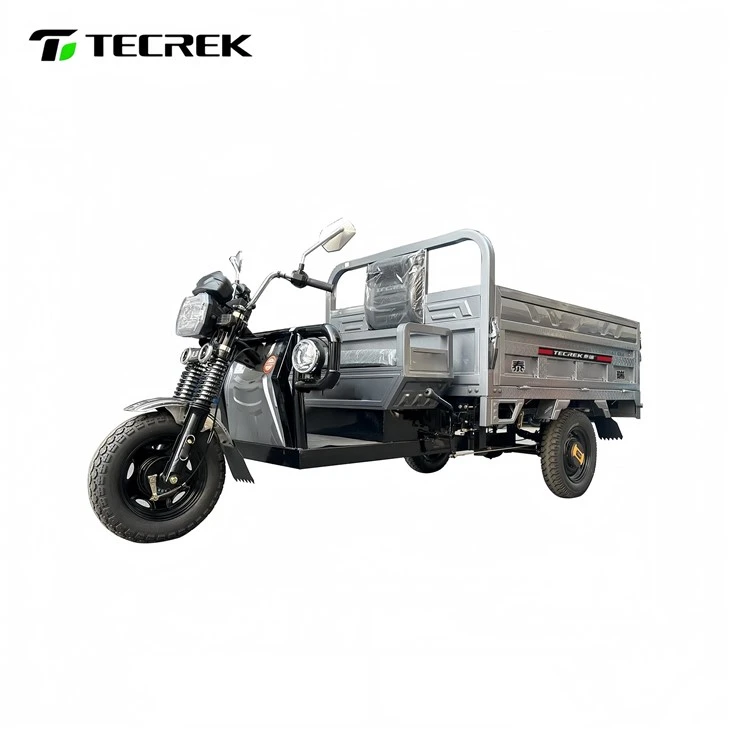 Electric Tricycle For Heavy Duty Transport Electric Tricycle For Heavy Duty Transport