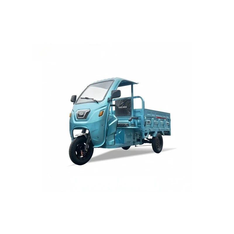 Electric Tricycle With High Load Capacity factory Electric Tricycle With High Load Capacity factory