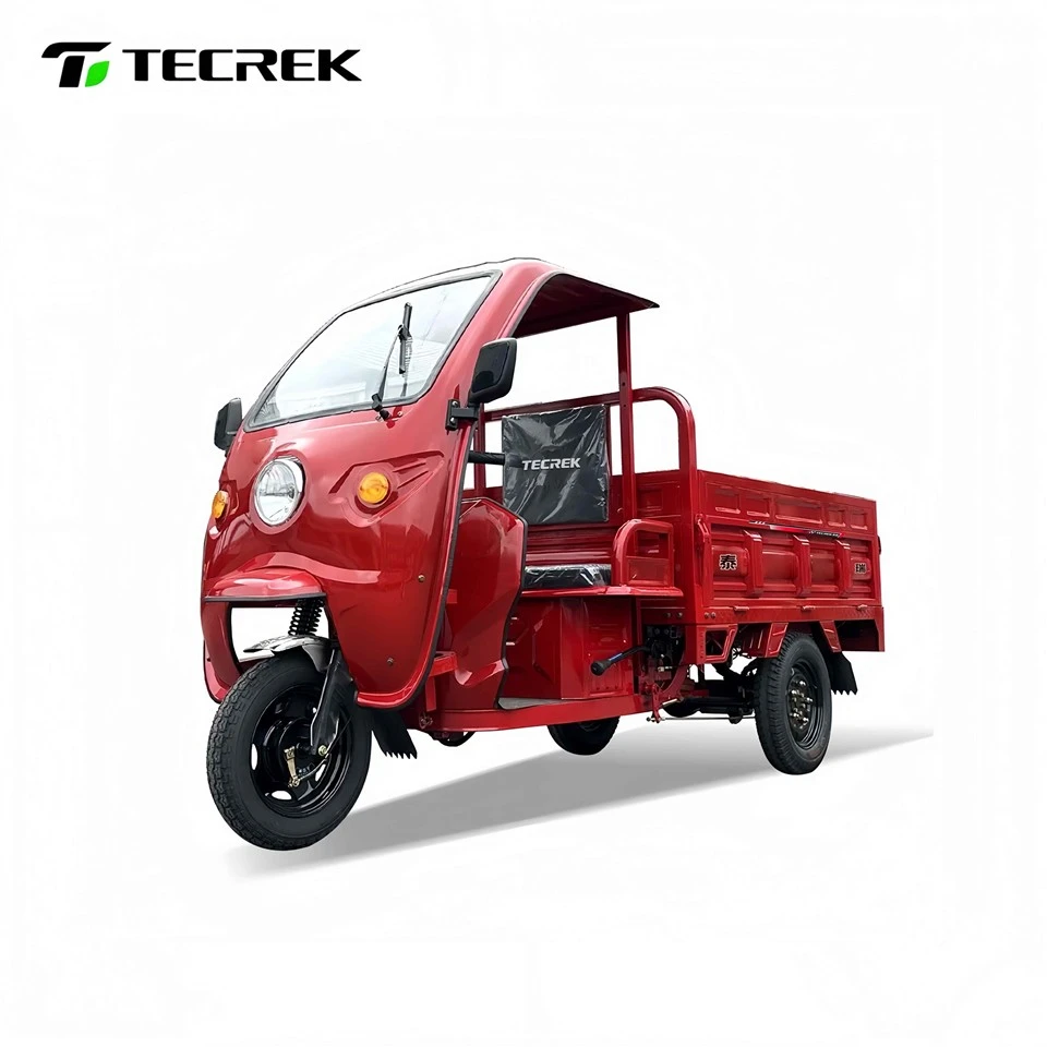 Electric Tricycle With High Load Capacity Electric Tricycle With High Load Capacity