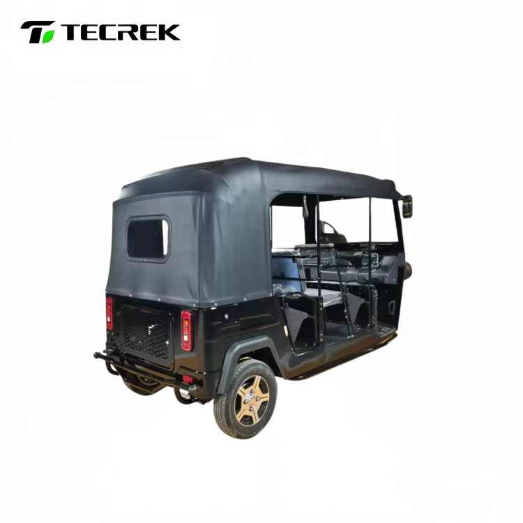 Eco Friendly Electric Rickshaw Vehicle best Eco Friendly Electric Rickshaw Vehicle best