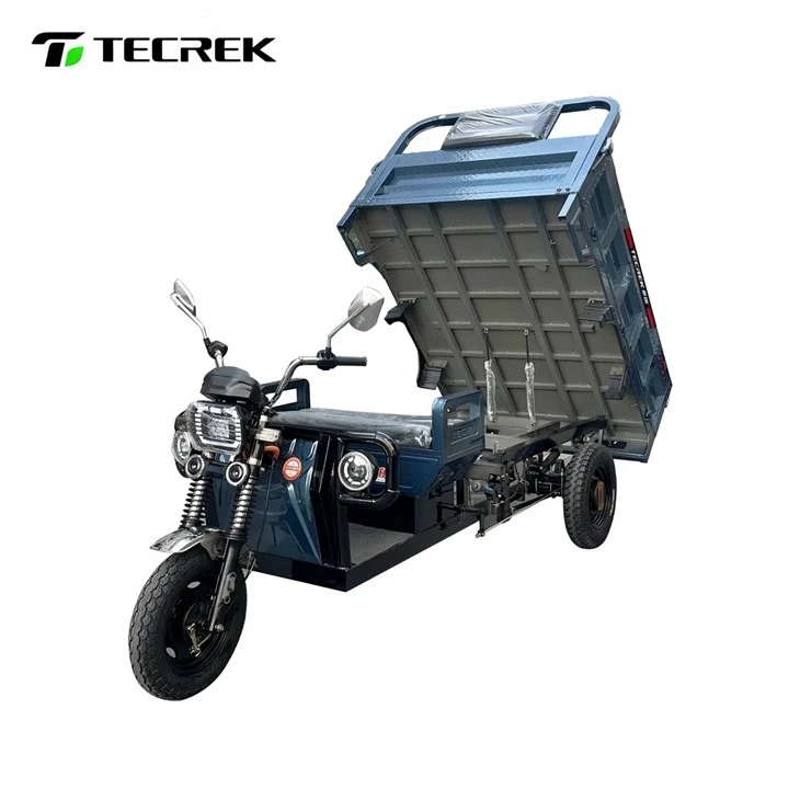 Heavy - Duty Electric Tricycle factory Heavy - Duty Electric Tricycle factory