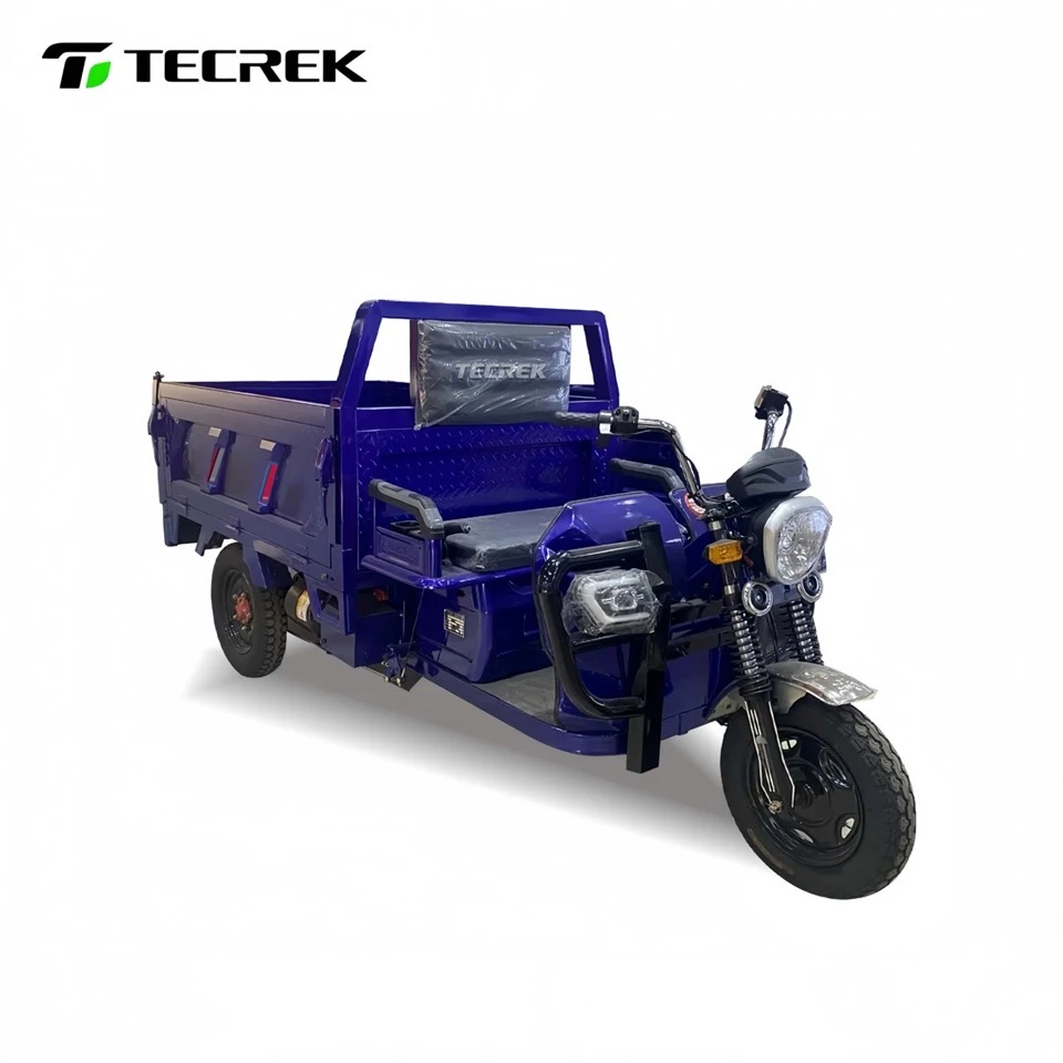 High Quality Cargo Electric Tricycle A High Performance Freight Choice suppliers High Quality Cargo Electric Tricycle A High Performance Freight Choice suppliers