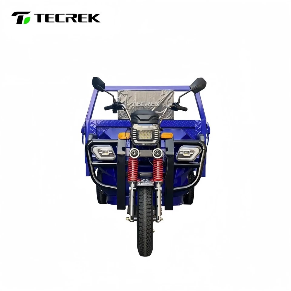 High Quality Cargo Electric Tricycle A High Performance Freight Choice factory High Quality Cargo Electric Tricycle A High Performance Freight Choice factory