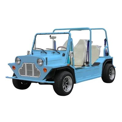 What are the classifications of electric sightseeing cars?