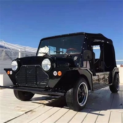 Tips for buying electric sightseeing cars