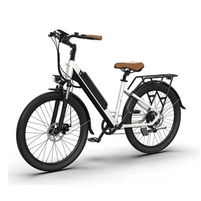 The difference between electric bicycles and electric vehicles