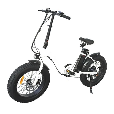 The service life and scrappage of electric bicycles