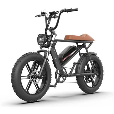 What are the tips for purchasing electric bicycles?