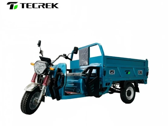 1.8m Electric Cargo Tricycle 