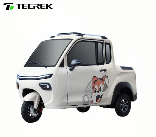 Electric Tricycle