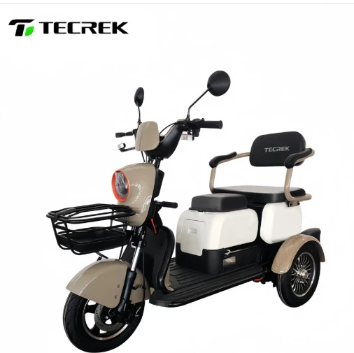 Three wheeled electric vehicle