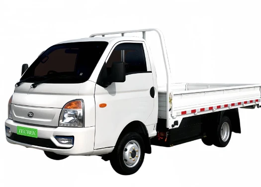 EV Truck Sales