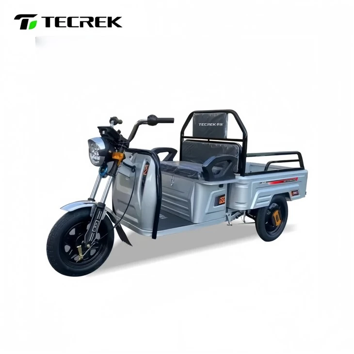 LETU 2 Electric Tricycle best LETU 2 Electric Tricycle best