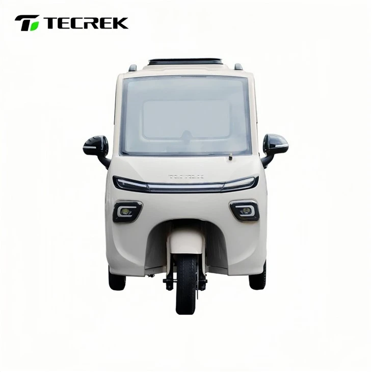 Light Cargo Utility Electric Tricycle factory Light Cargo Utility Electric Tricycle factory