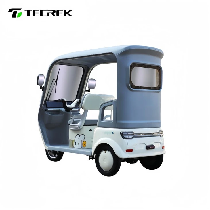 Modern Electric Rickshaw high quality Modern Electric Rickshaw high quality