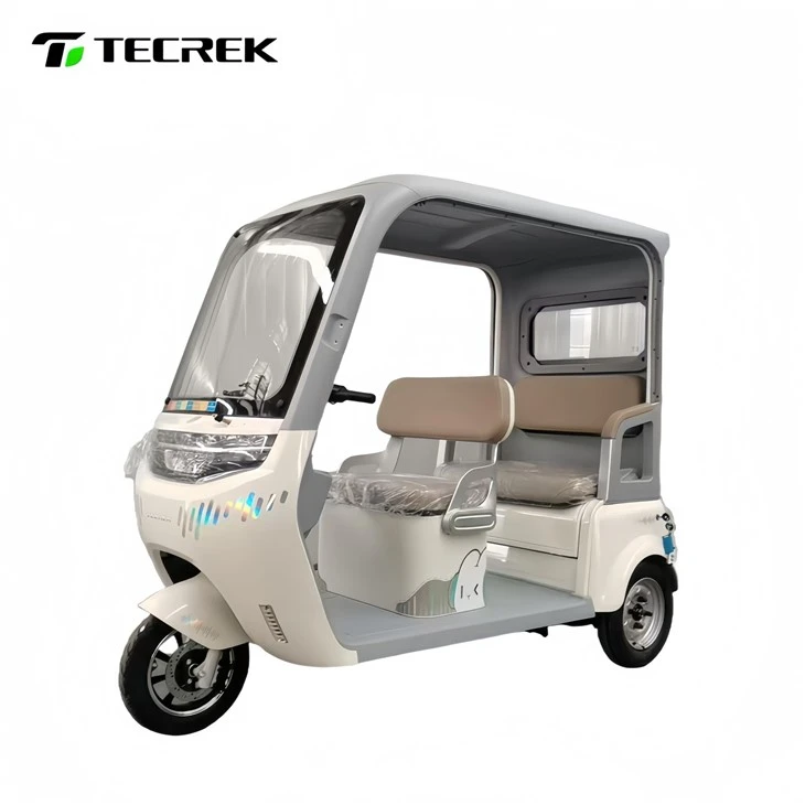 Modern Electric Rickshaw factory Modern Electric Rickshaw factory