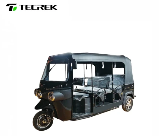 Eco Friendly Electric Rickshaw Vehicle with 60V 4000W motor