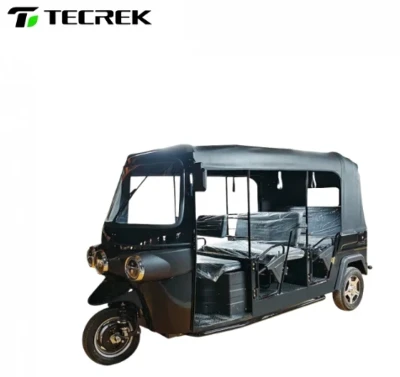 electric 3-wheeler passenger vehicle electric 3-wheeler passenger vehicle