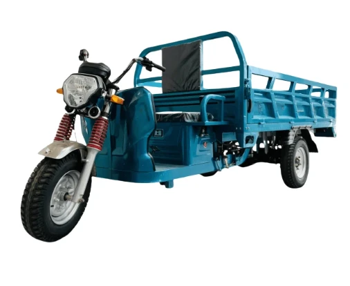 electric cargo tricycle