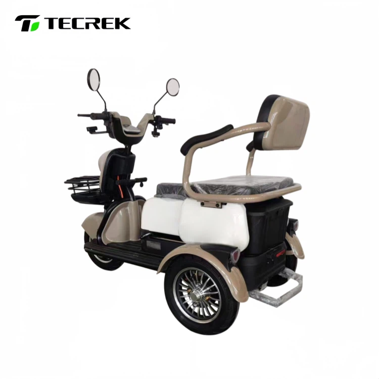 Open Passenger Electric Tricycle factory Open Passenger Electric Tricycle factory