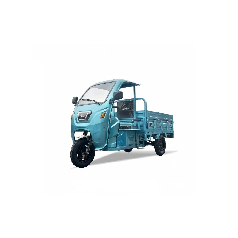 utility e trike