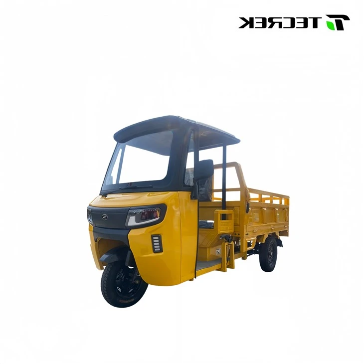 Electric Motor Tricycle Electric Motor Tricycle