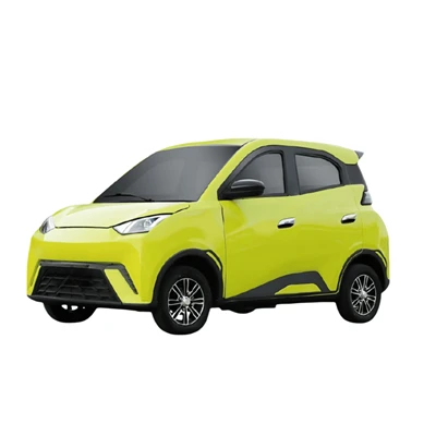 electric vehicle service