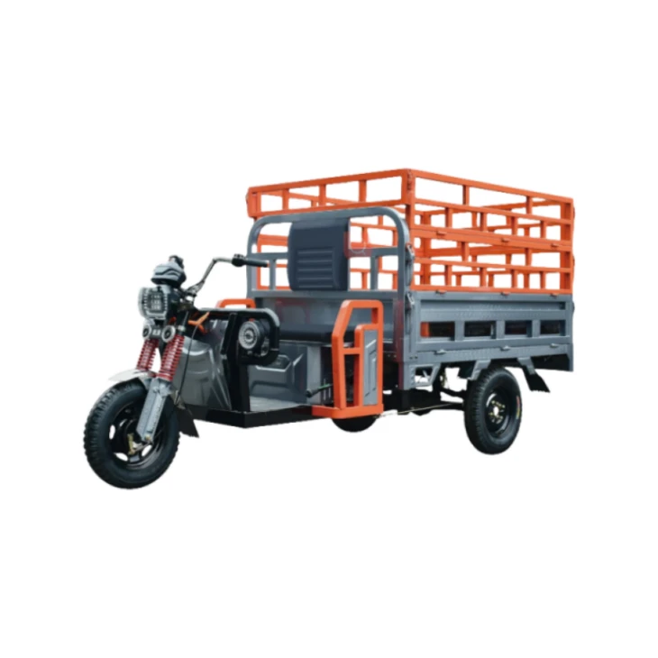 TR Electric Tricycle TR Electric Tricycle