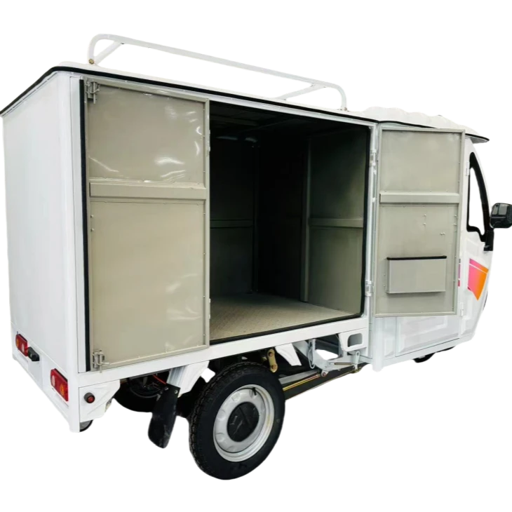 heavy-duty enclosed electric cargo tricycle