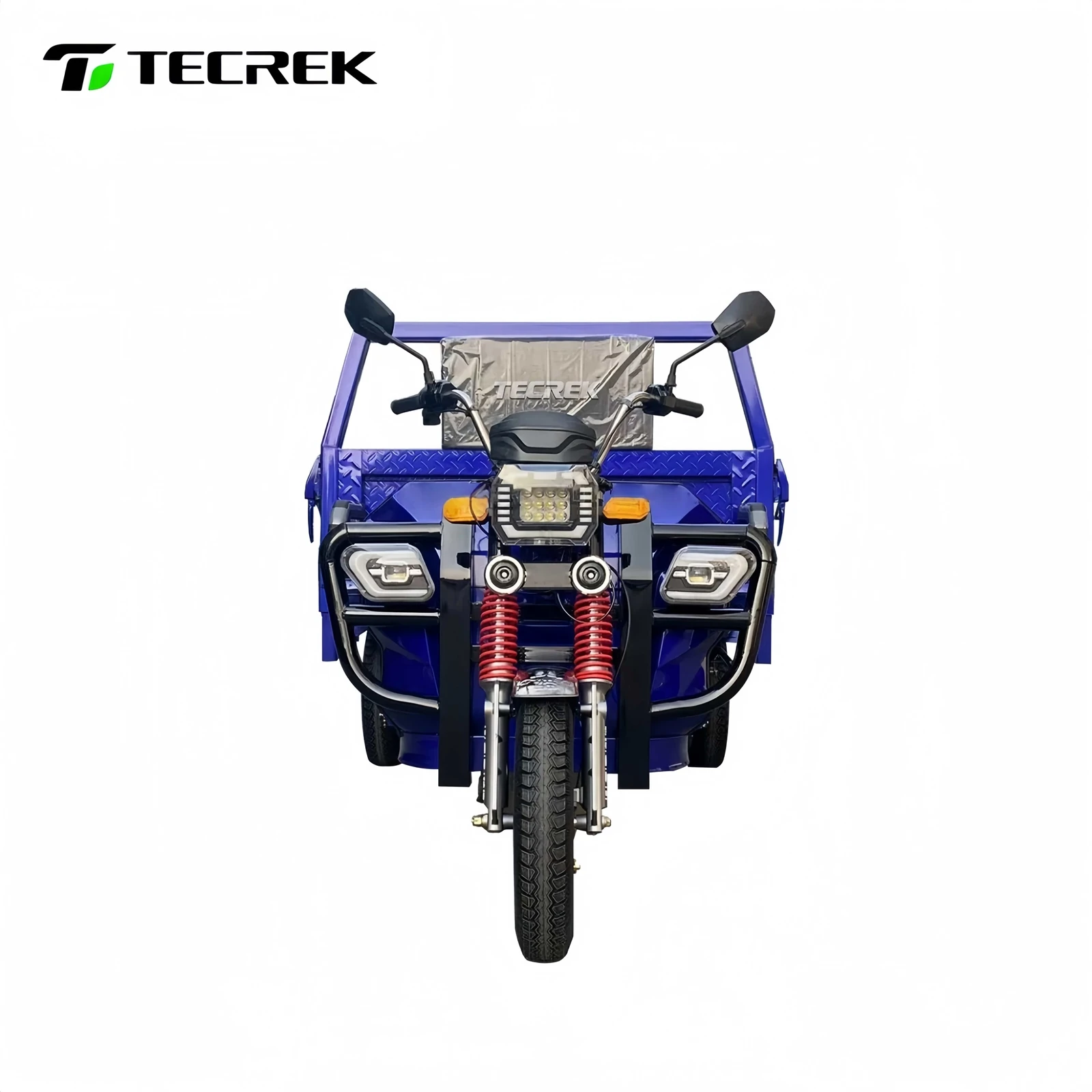 Cargo Electric Tricycle