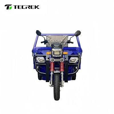 Cargo Electric Tricycle Cargo Electric Tricycle