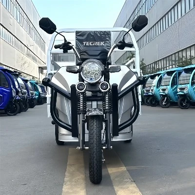 800W Electric Tricycle 800W Electric Tricycle
