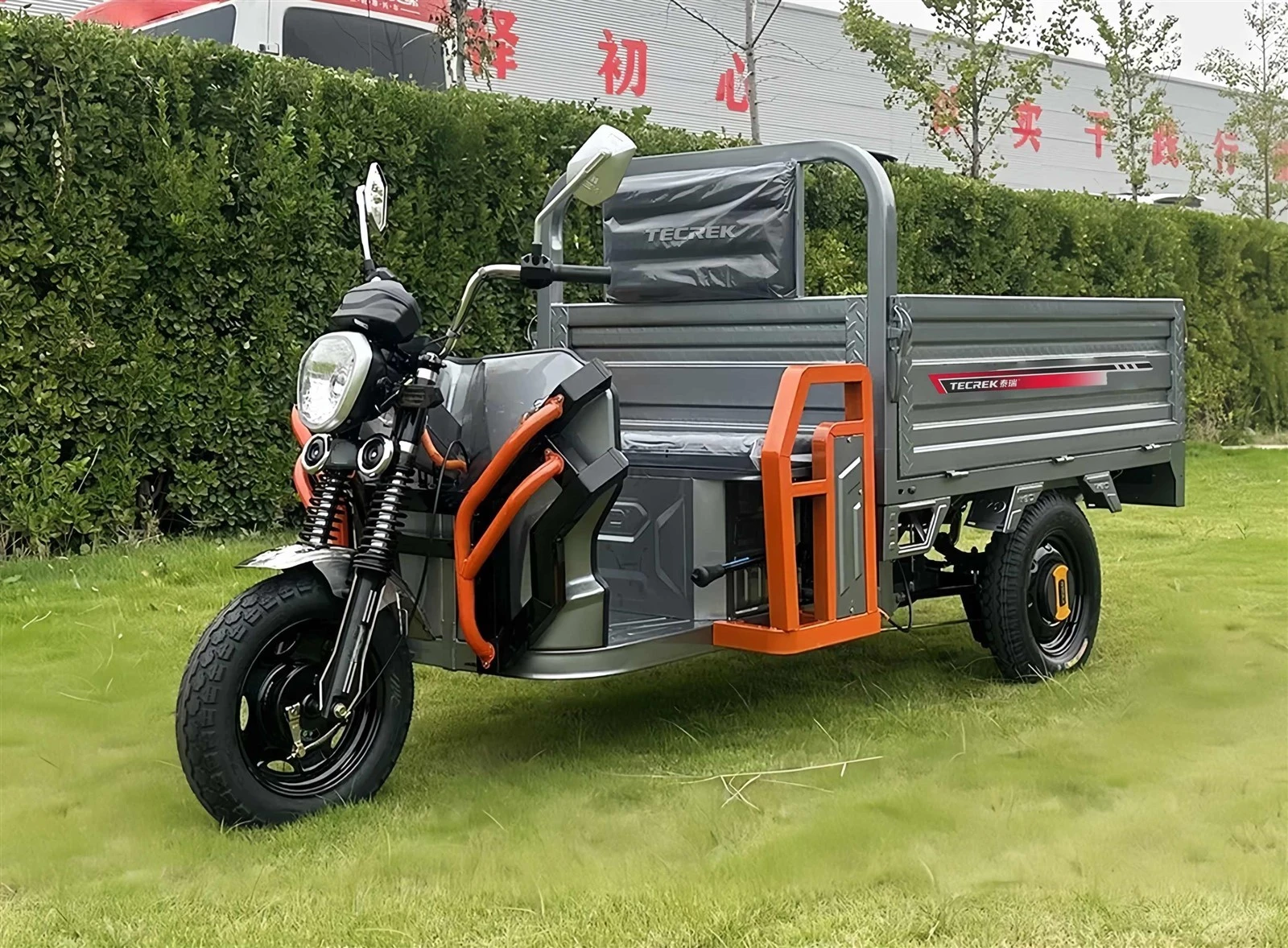 Electric Three Wheel Utility Vehicle