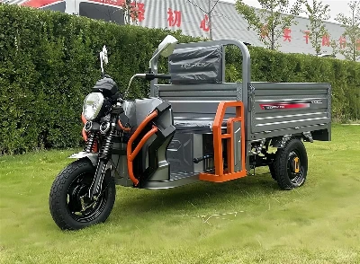 Electric Three Wheel Utility Vehicle Electric Three Wheel Utility Vehicle