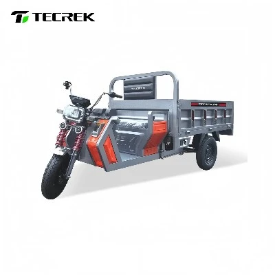 Electric 3 Wheels Cargo Truck Electric 3 Wheels Cargo Truck
